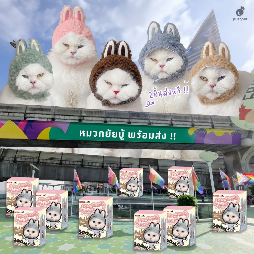 Purrpet หมวกแฟนซี ลายยัยบู้ หมวกแมว หมวกสุนัข ผ้านุ่มพรีเมี่ยม ใส่ง่าย (S-XL)