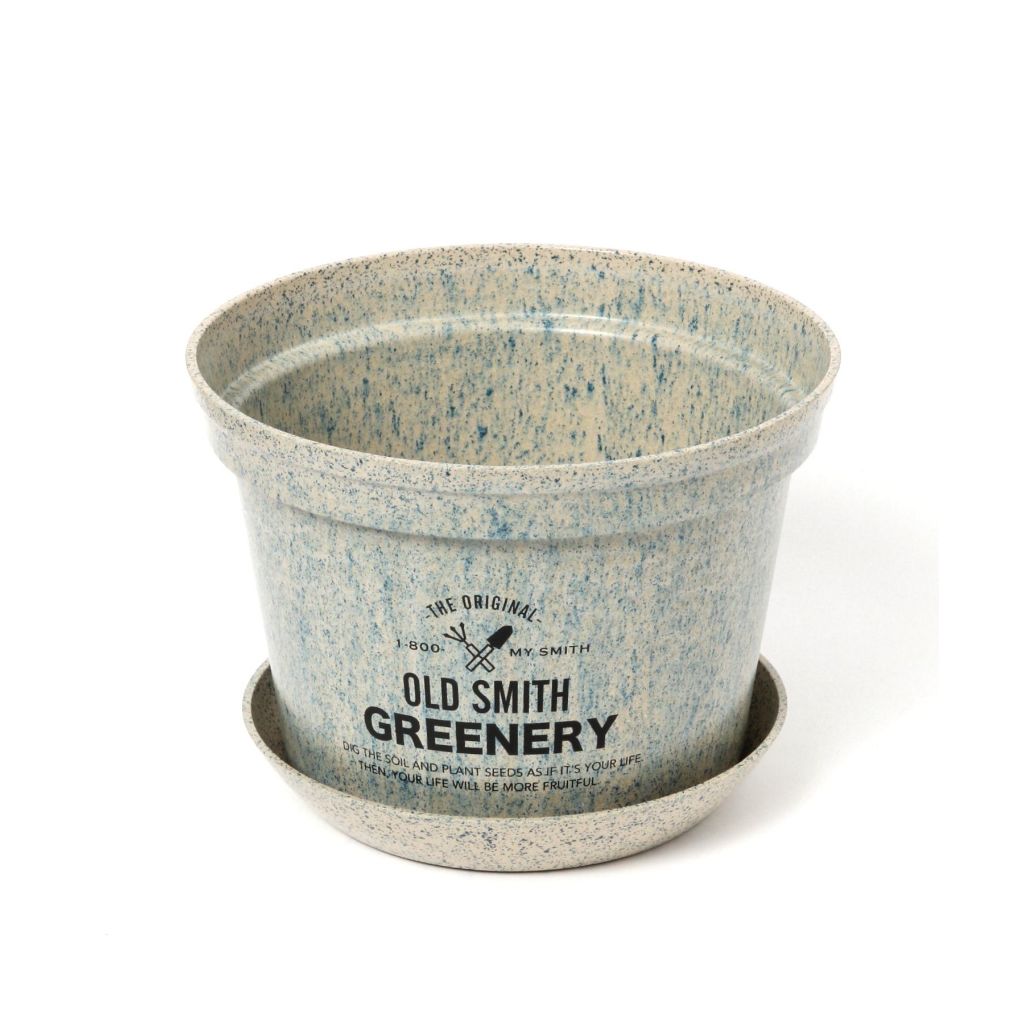 [OLD SMITH GREENERY] Marble Pot LL