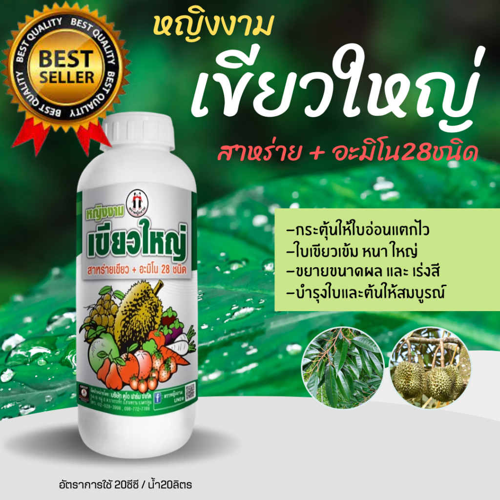 หญิงงาม เขียวใหญ่ สาหร่าย+อมิโน28ชนิด+ช่วยให้ใบเขียวเข้มใบใหญ่