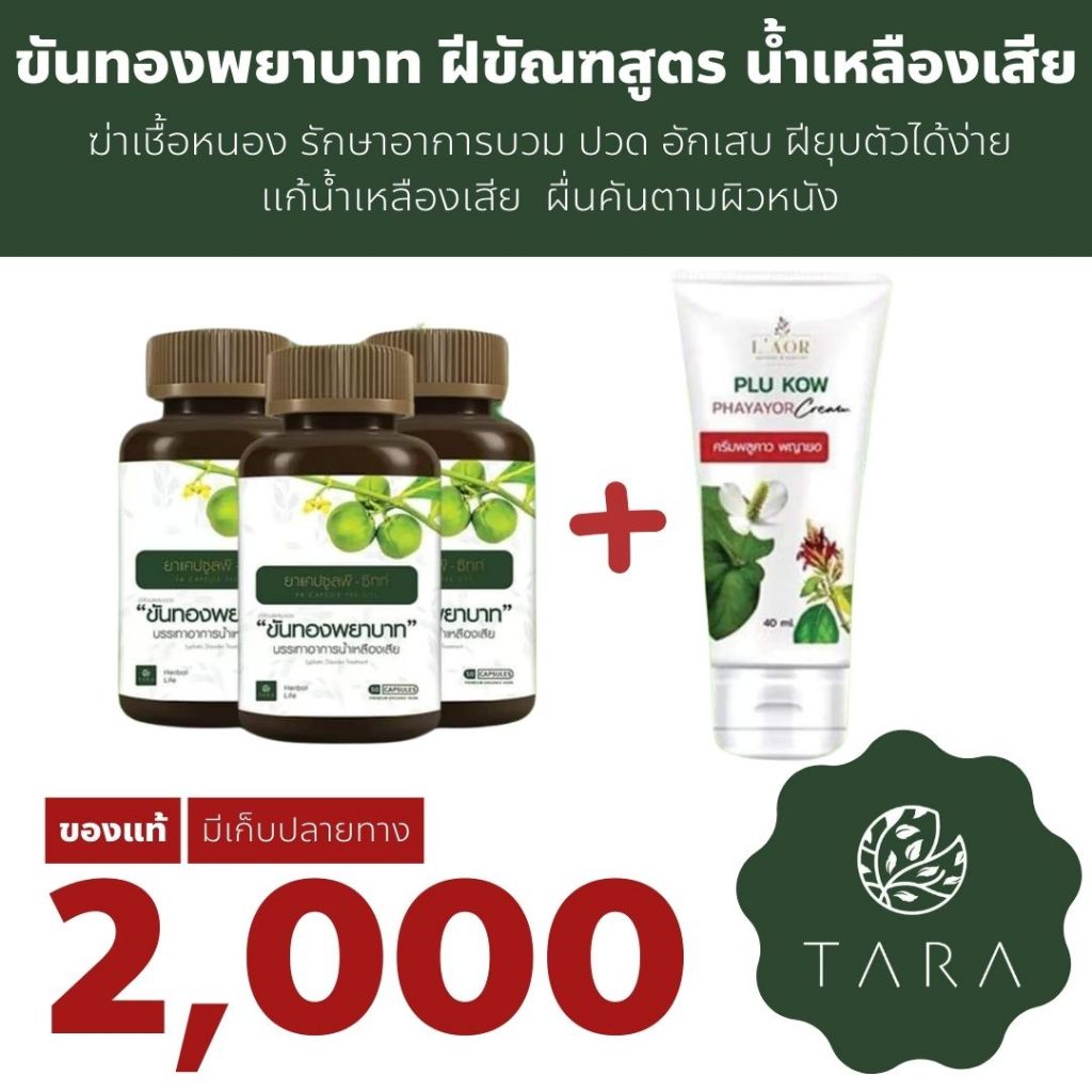 ครีมพลูคาว พญายอ ขันทองพยาบาท แคปซูล ฝีหนอง น้ำเหลืองเสีย คัน ผิวหนัง ผื่นแพ้