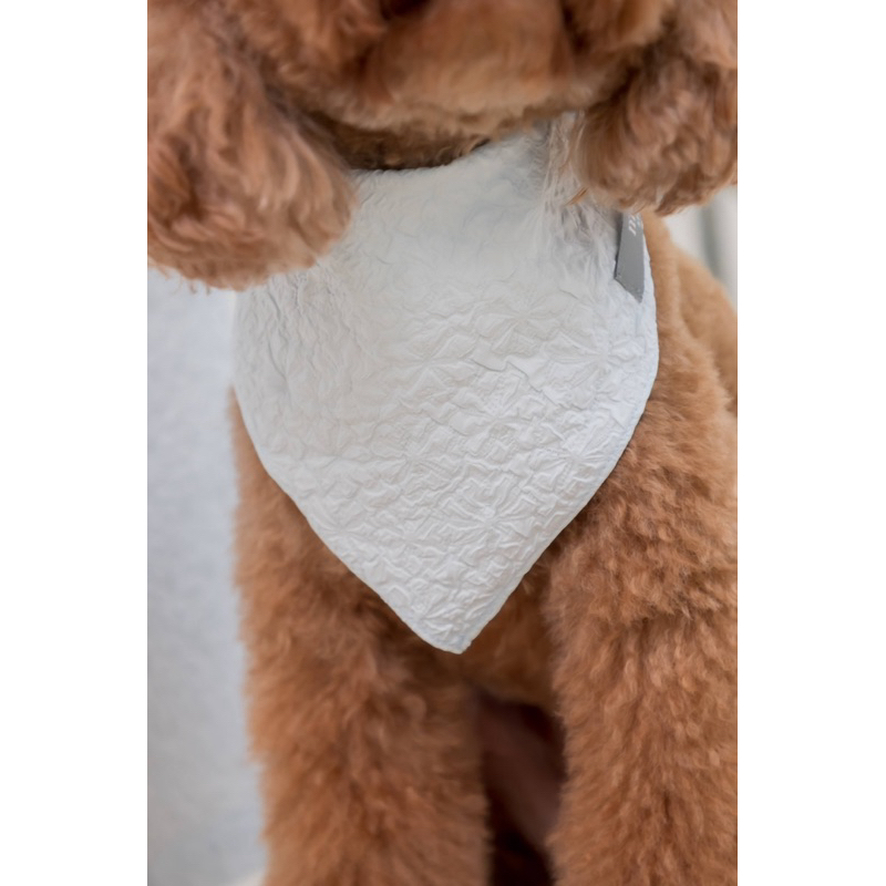 ผ้าพันคอ Furry Friend Scarf🐶 (Elsa🧊)