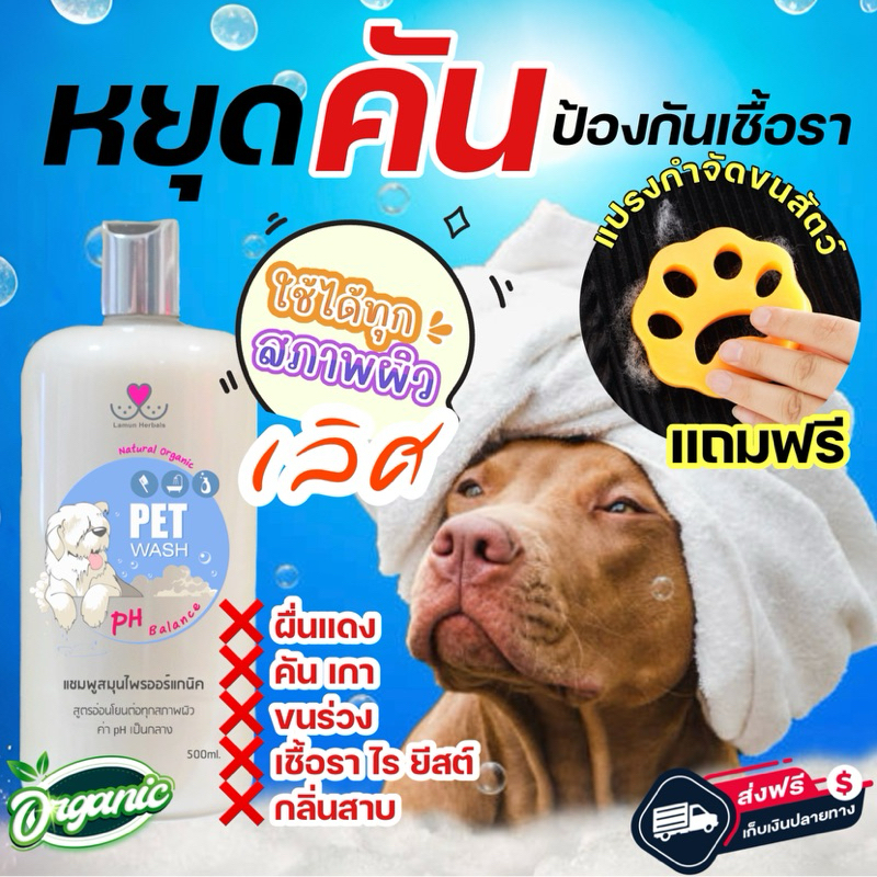 แชมพูละมุนเฮอร์เบิล (อ่อนโยนพิเศษ) ป้องกันเรื้อน แก้ปัญหาผื่นคัน/เชื้อรา/ไร/ยีสต์ ใช้ได้ทุกสายพันธ์ุ