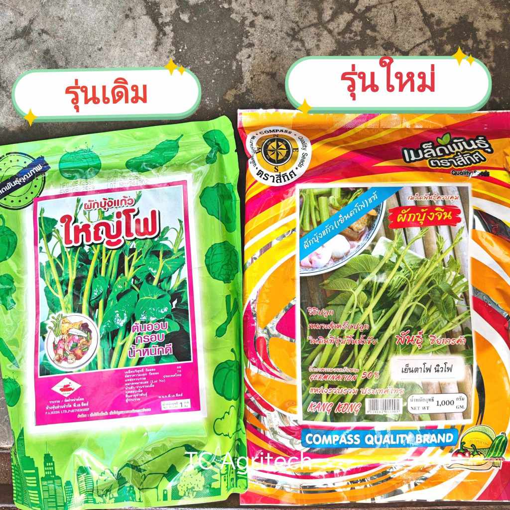 เมล็ดพันธุ์ผักบุ้งแก้ว ผักบุ้งเย็นตาโฟ 1กก. (สุ่มสีนะคะ)*ล้อตใหม่ทั้งสอง* ผักบุ้งนา ผักบุ้งเย็นตาโฟ