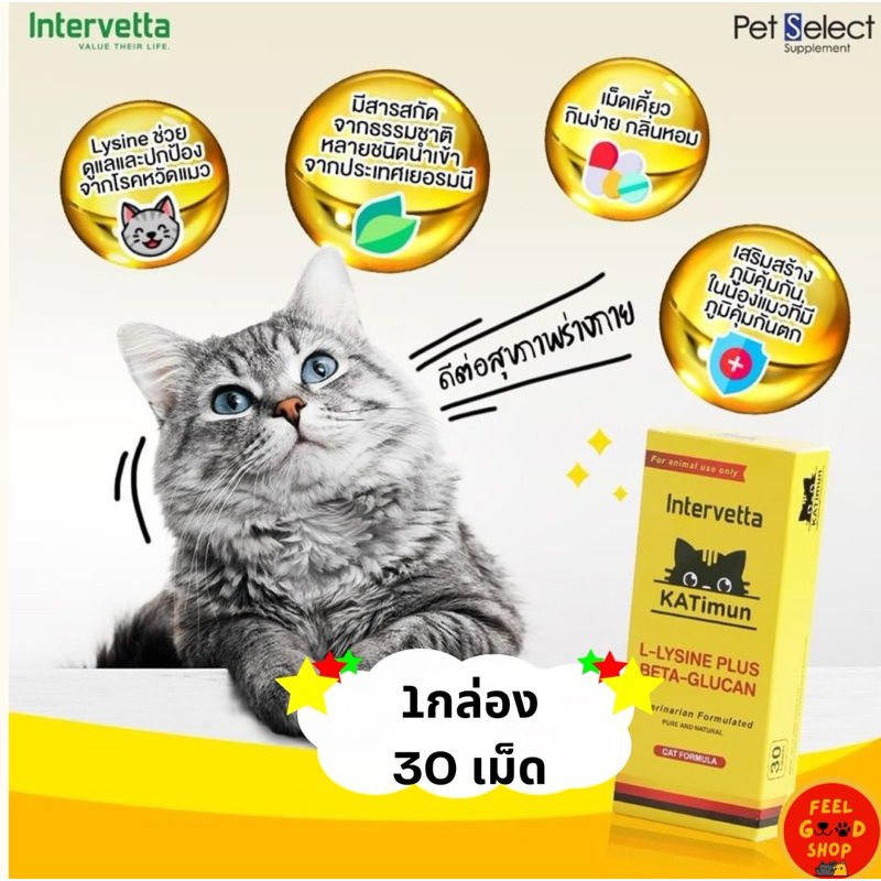 KATImun L-Lysine Plus Beta-glucan 30 เม็ด หมดอายุ 05/2026 วิตามินสำหรับแมว ช่วยเสริมสร้างภูมิคุ้มกันในน้องแมว