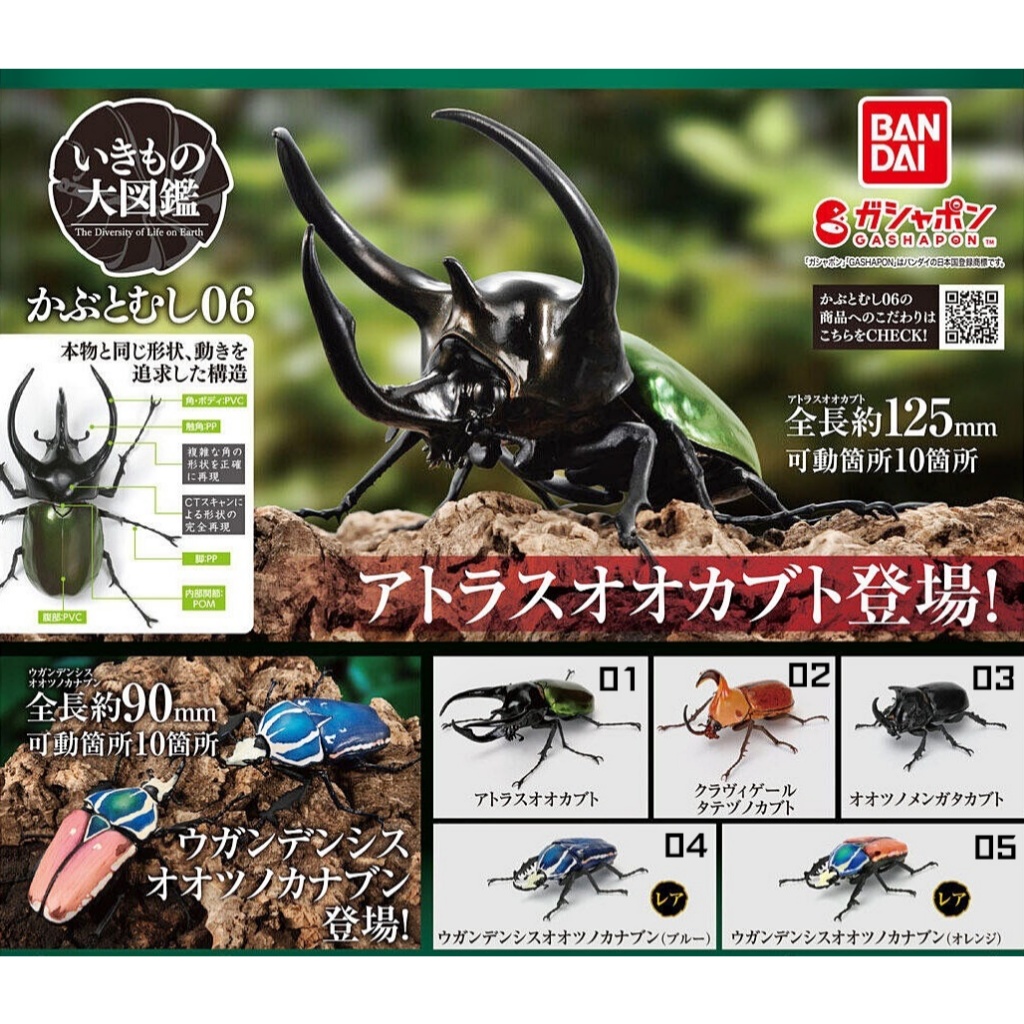 (เพิ่ม4แบบพร้อมส่ง) กาชาปองด้วงกว่าง Gashapon Bandai Kuwagata Hercules Beetle Action Vol.06 โมเดลสัตว์