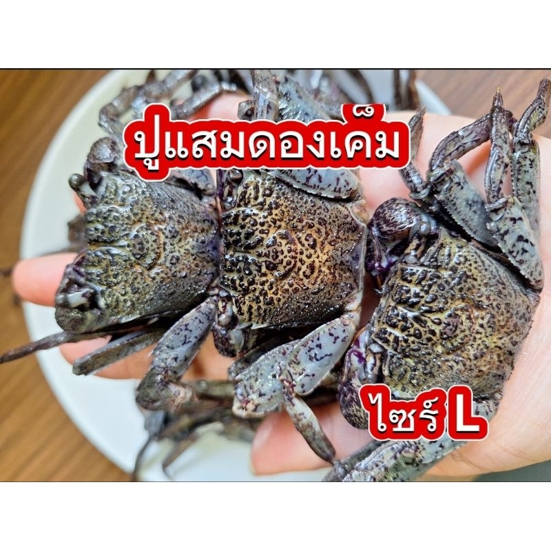 พร้อมส่งไว ปูแสมดองเค็ม ปูแสม ( 500 กรัม ) ตัวล้วนไม่มีน้ำ