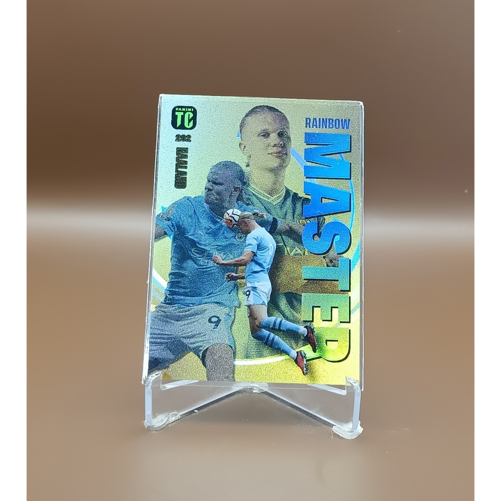 2024 PANINI TOP CLASS Soccer Rainbow Master Card (RM) Erling Haaland N.202
