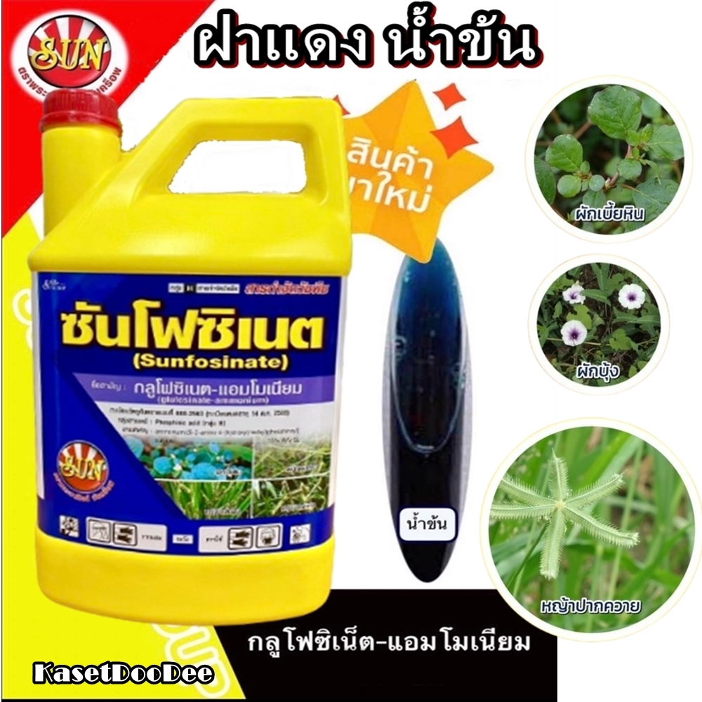 ซันโฟสิเนท 4 ลิตร สูตรน้ำข้น  น๊อดกึ่งดูดซึม กำจัดวัชพืช ในสวน ในไร่ หญ้าทุกชนิด