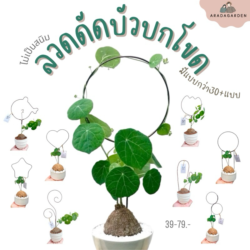 ลวดดัดบัวบกโขด ราคาถูก
