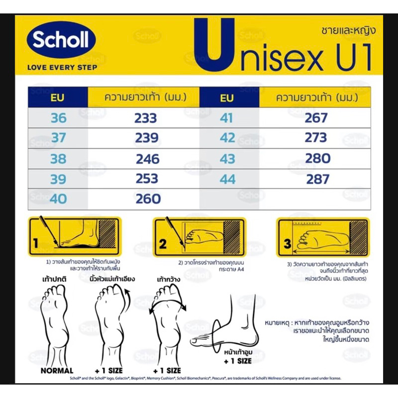 Scholl ไซโคลน สินค้าของแท้ รับประกัน 100 %