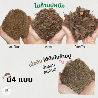 🍂🍂 ใบก้ามปูหมัก ดินใบก้ามปู ร่อนละเอียด ร่อนหยาบ ใบ ธาตุอาหารไนโตรเจนสูง ขนาด 1กิโลกรัม 🍂🍂