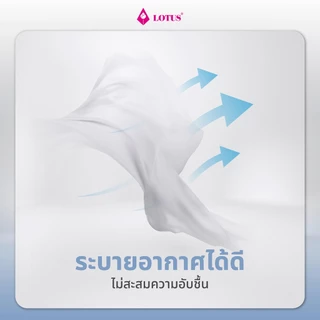 LOTUS หมอนข้างเพื่อสุขภาพ รุ่น Sleepy ป้องกันไรฝุ่น ใยสังเคราะห์