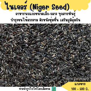 ไนเจอร์ (Niger Seed) (แบ่งขาย 200-500G.) อาหารนกขนาดเล็ก-กลาง ทุกสายพันธุ์