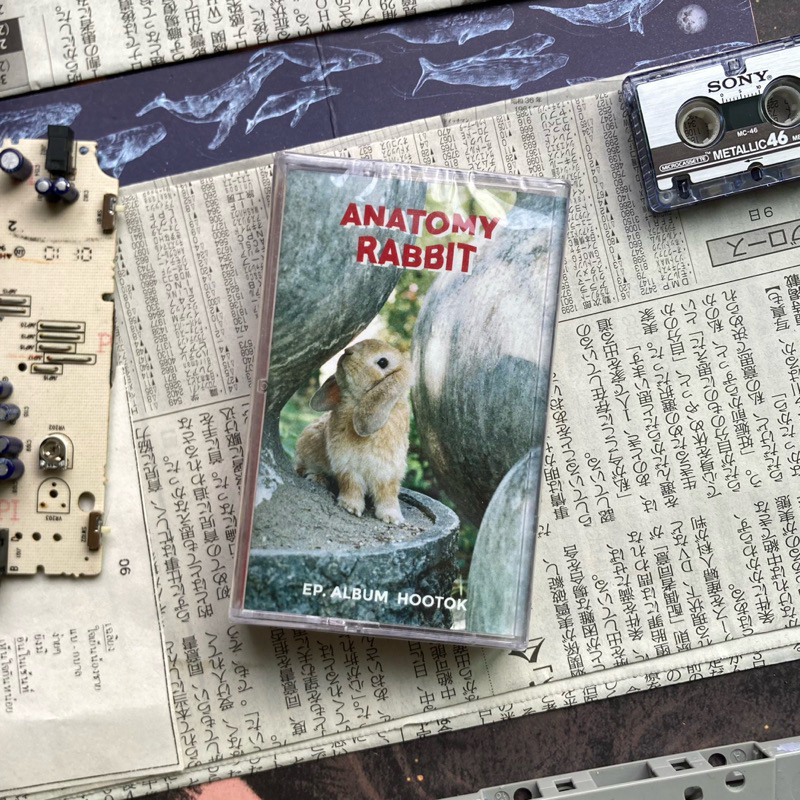 Anatomy rabbit อัลบั้มHootok