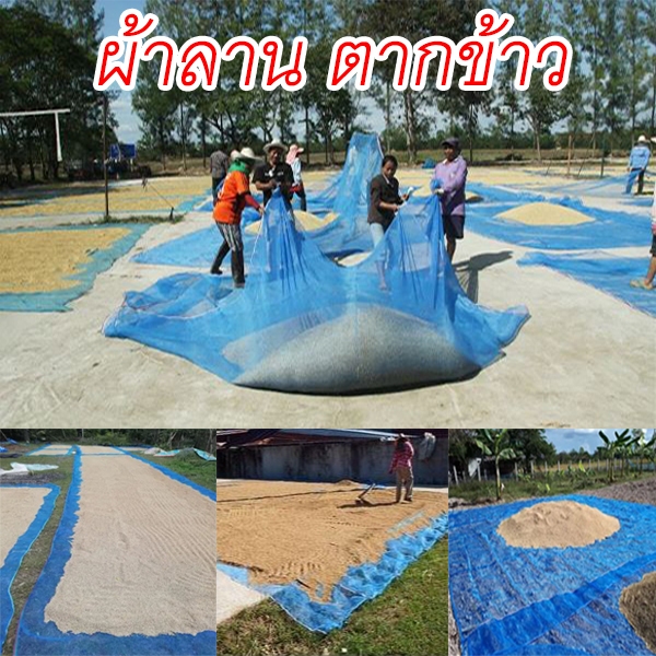 ผ้าลาน ตากข้าว เย็บสำเร็จรูป พร้อมใช้ ผ้าลานตากข้าว ผ้ามุ้งฟ้าตากข้าว