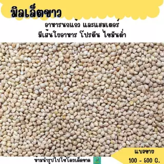 มิลเล็ตขาว เกรดA (แบ่งขาย 200-500G.) อาหารนกแก้ว และสัตว์ฟันแทะ