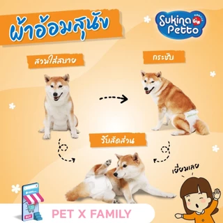 Sukina Petto ผ้าอ้อมเพศหญิง Pet Diaper ทุกไซส์ราคาเดียว 🐶💕