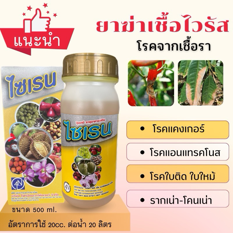 ยาฆ่าเชื้อไวรัส ในพืช (กรดซาลิไซลิค) กำจัดโรคพืช ราเน่า โคนเน่า