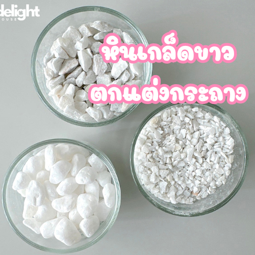 [พร้อมส่ง] หินเกล็ด สีขาว (0.5 kg. - 1 kg.) หินโรยหน้ากระถาง หินธรรมชาติ โรยจัดสวนญี่ปุ่น สวนถาง