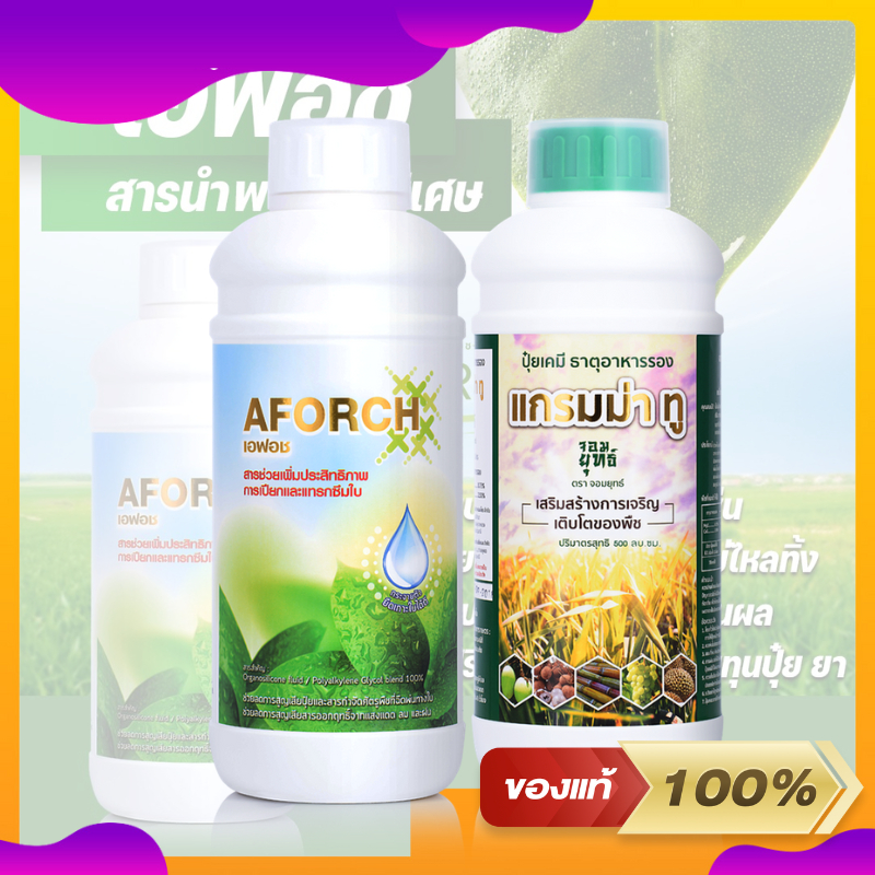 สารนำใบ เอฟอช+ ปุ๋ยน้ำ แกรมม่าทู ชุดคู่สุดคุ้มขวดใหญ่ (ขนาด1ลิตร) เซ็ต2ขวด สารช่วยเพิ่มประสิทธิภาพการเปียกและแทรกซึมใบ