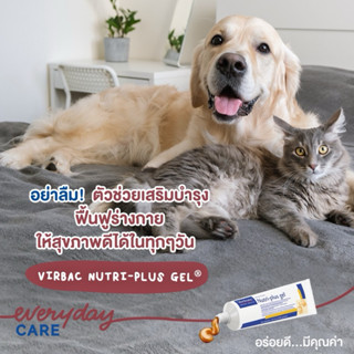 นูตริพลัส เจล (NutriPlus Gel) 120.5 กรัม หมดอายุ 01/2027 เหม…