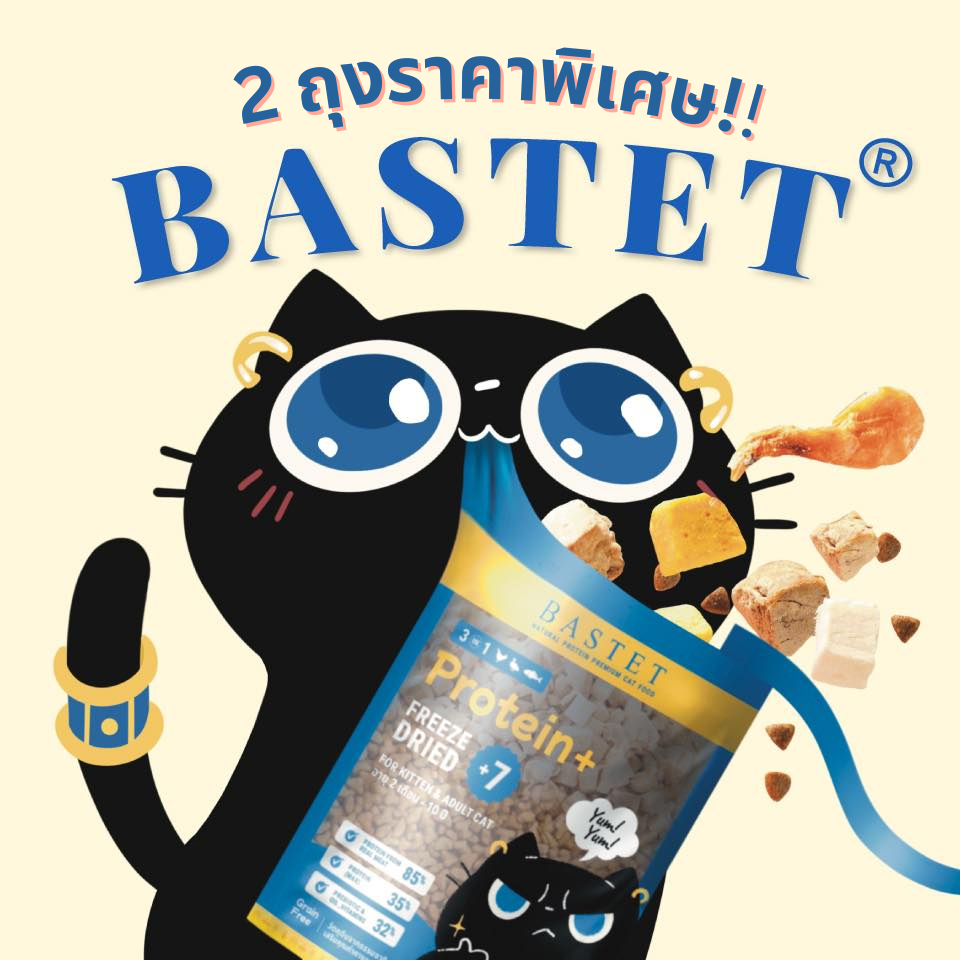 [Set สุดคุ้ม!!] อาหารแมว Bastet 2 ถุง ราคาพิเศษ