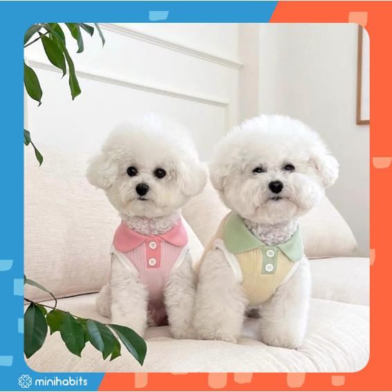 [ พร้อมส่ง] เสื้อโปโลสัตว์เลี้ยง แขนกุด Chiyoko Macaron Pet Polo เสื้อยืดแมว ชุดสัตว์เลี้ยง สุนัข