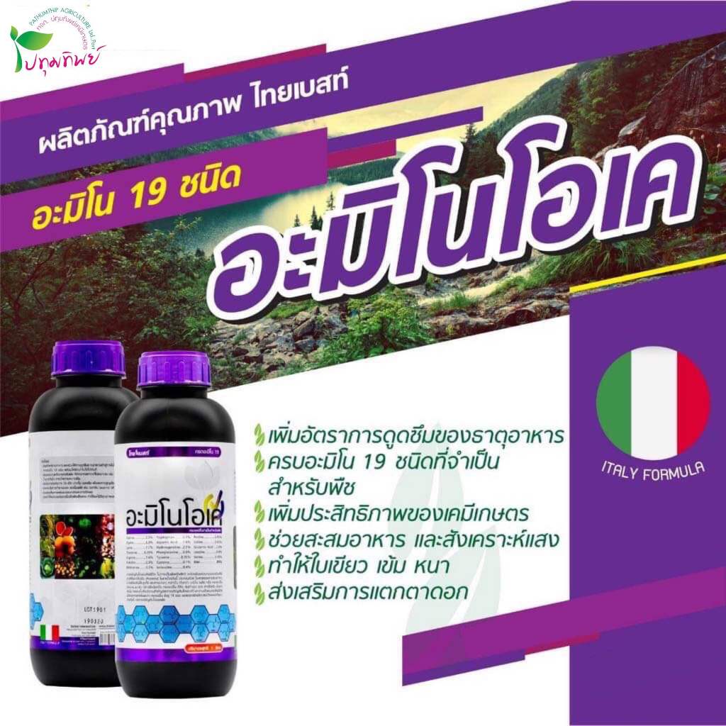 อะมิโนโอเค ขนาด 1 ลิตร มีกรดอะมิโน 19 ชนิดสำหรับพืชทุกชนิด เพิ่มตาใบ ตาดอก ฟื้นต้นโทรม