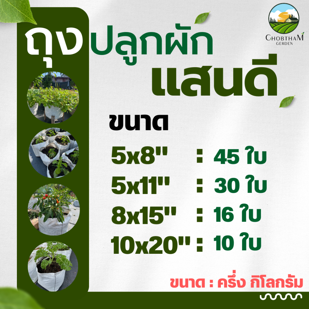 รูปภาพ 2