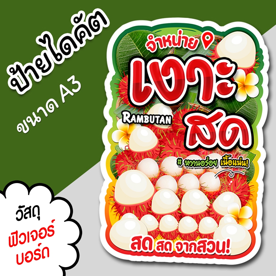 ป้ายเงาะ A3 A4 ป้ายตกแต่งร้าน ป้ายสำหรับร้านขายผลไม้  ไดคัต ตามรูปทรง เงาะสด สวยๆ