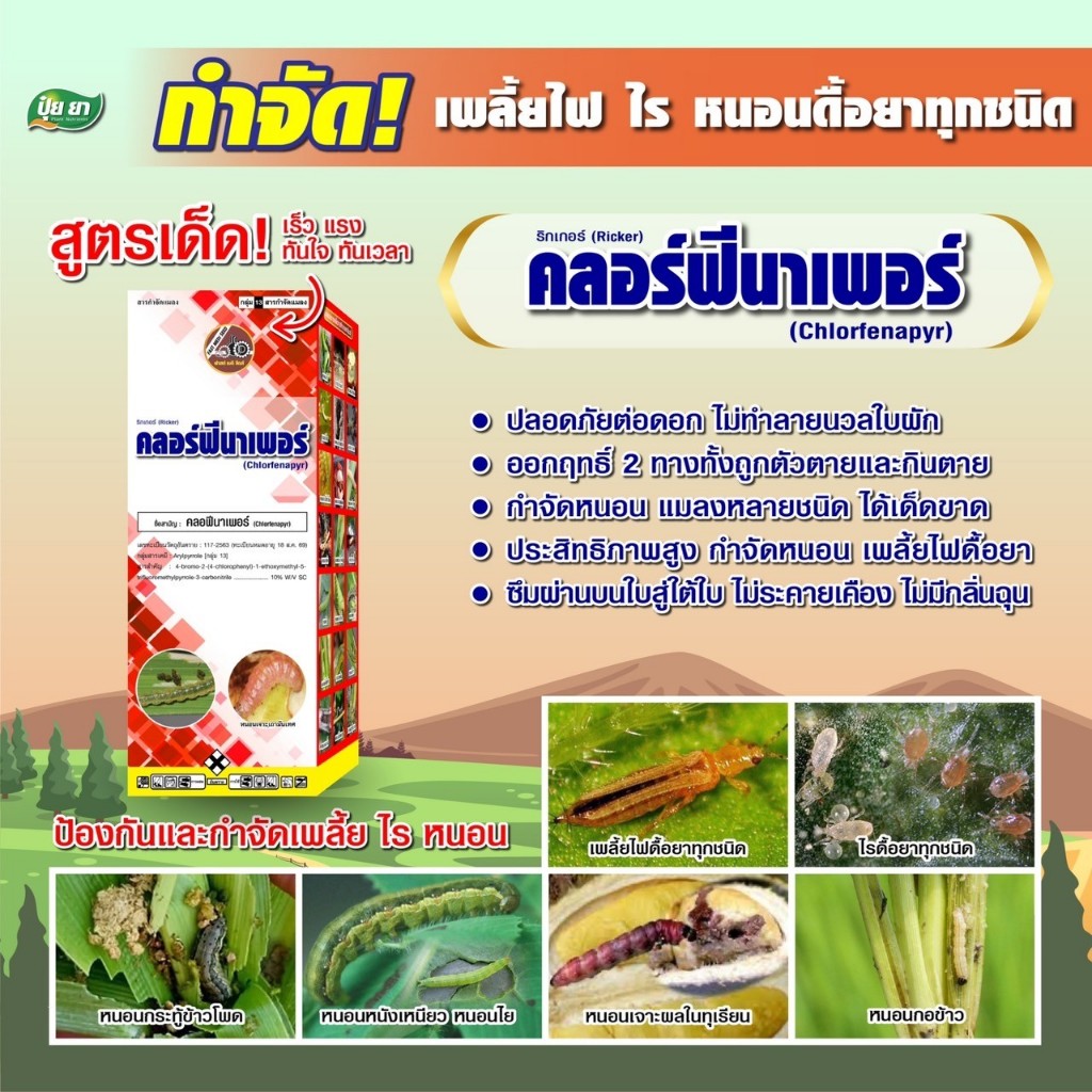 กำจัด เพลี้ยไฟ ไร หนอน แลงดื้อยาทุกชนิด สูตรเย็น ยาฆ่าแมลง คลอร์ฟีนาเพอร์ ปุ๋ยยา หลายขนาด