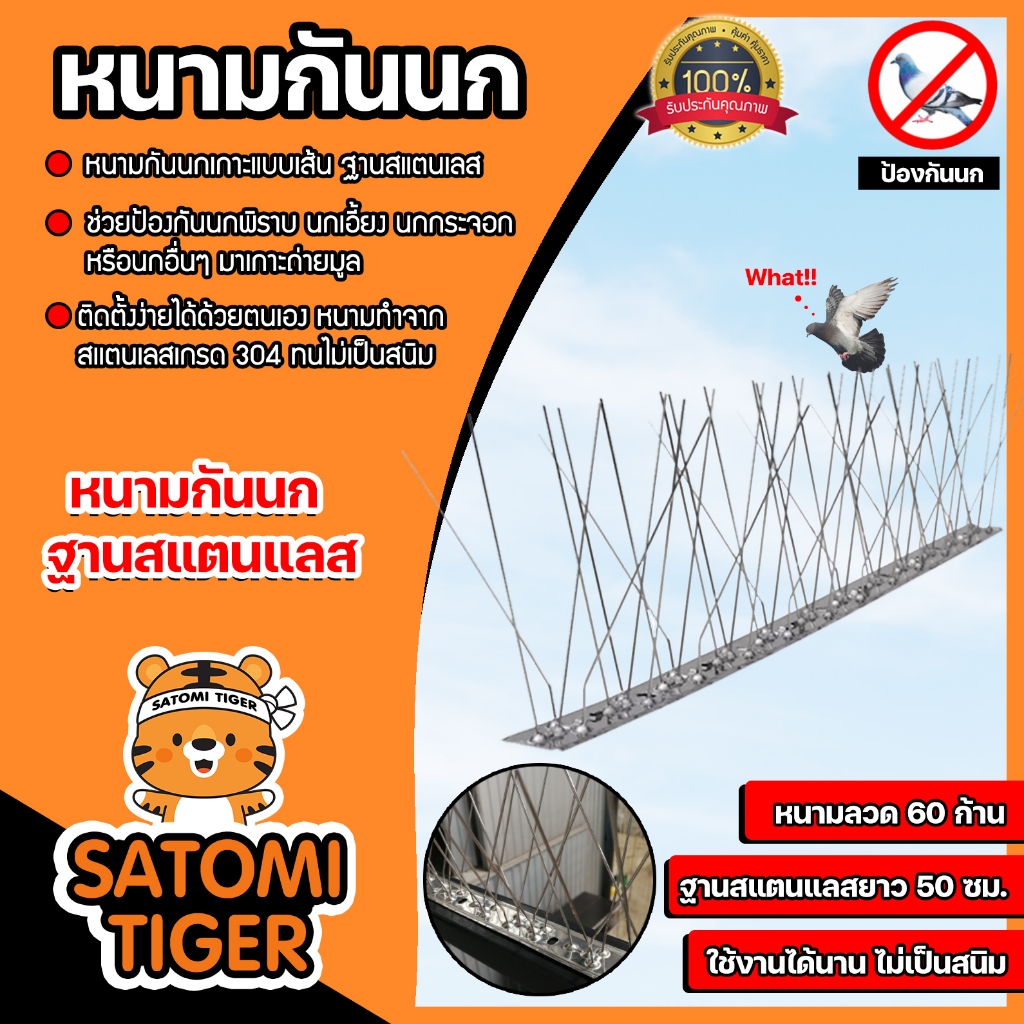 หนามกันนก ไล่นกพิราบ นกพิราบ ที่ดักนก10ชุด กันนกพิราบ Bird Spikes ทนทาน อุปกรณ์ไล่นกทำรัง ฐานสแตนเลส