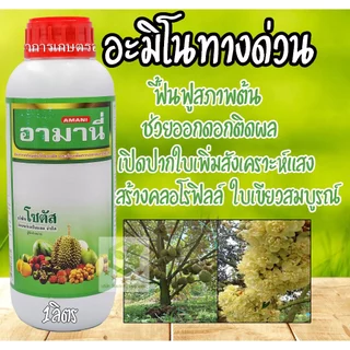 /ยกลัง12ขวด/ อามานี่ 1ลิตร กรดอะมิโนทางด่วน สำหรับพืช กระตุ้นการเปิดปากใบ เร่งการสังเคราะห์แสง สร้างอาหาร โซตัส