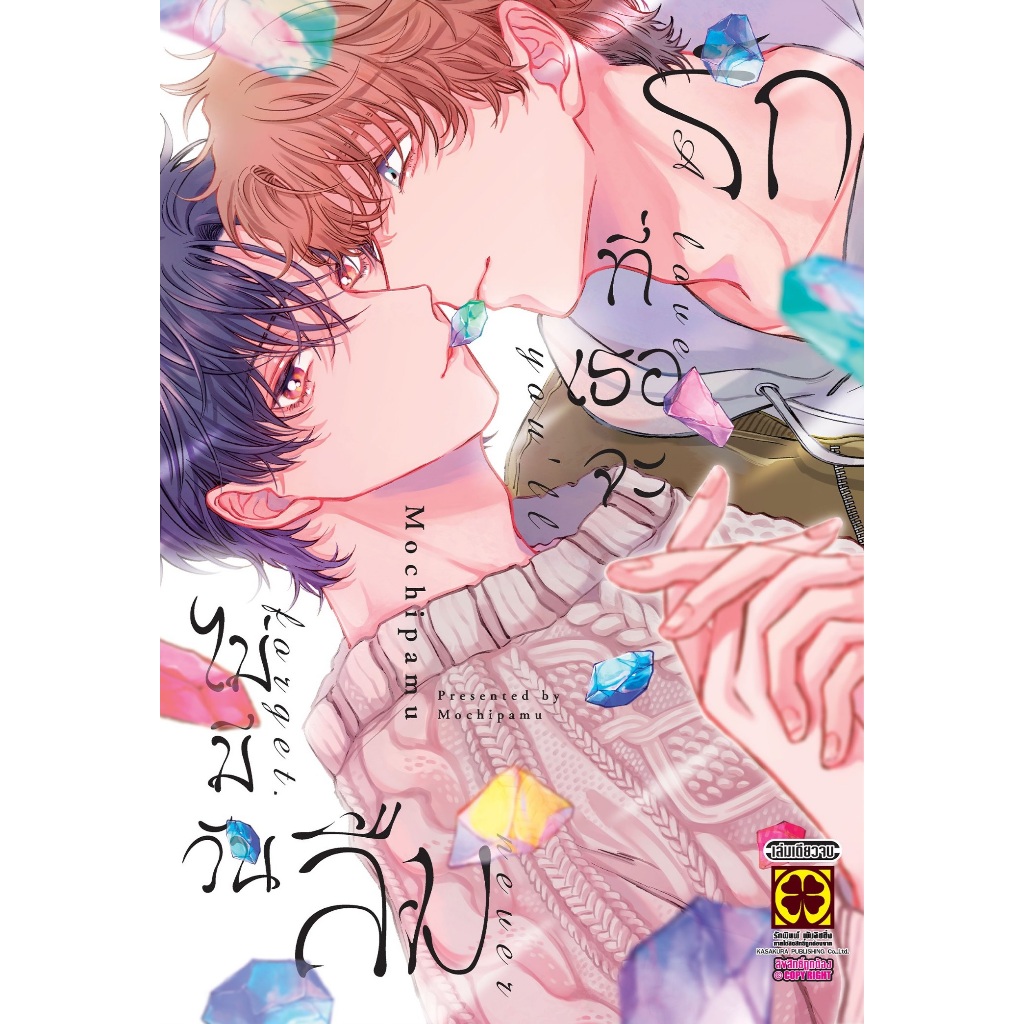 รักที่เธอจะไม่มีวันลืม (เล่มเดียวจบ)
