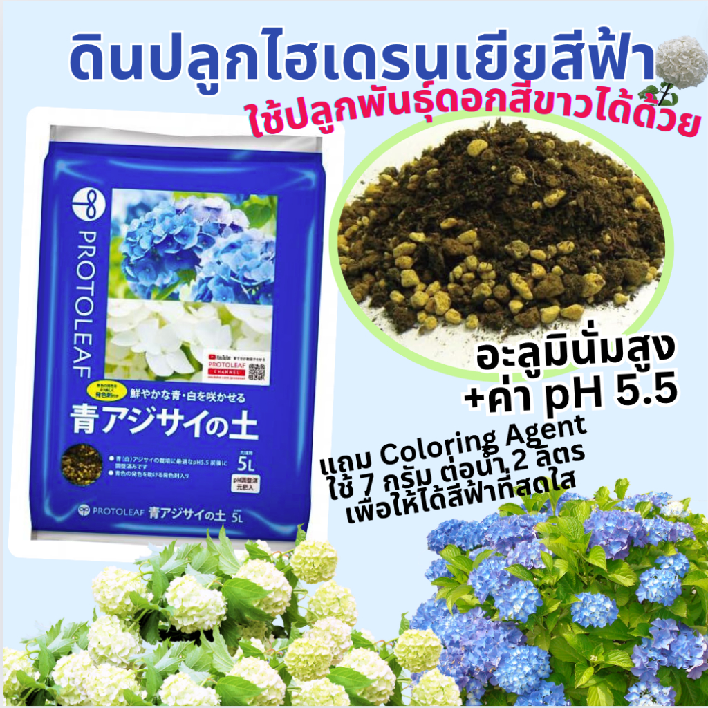 ดินปลูกไฮเดรนเยียสีฟ้า PROTOLEAF 5L pH 5.5 สูตรอะลูมินั่ม ดอกสีฟ้าชัด ปลูกพันธุ์ขาวได้