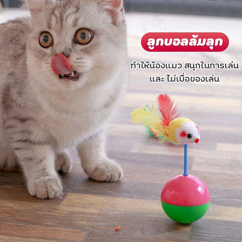 ลูกบอลล้มลุก หนูล้มลุก ของเล่นแมว บอลกรงหนู บอลของเล่นแมว กระดิ่งแมว หนูของเล่น OI - รูปที่ 5