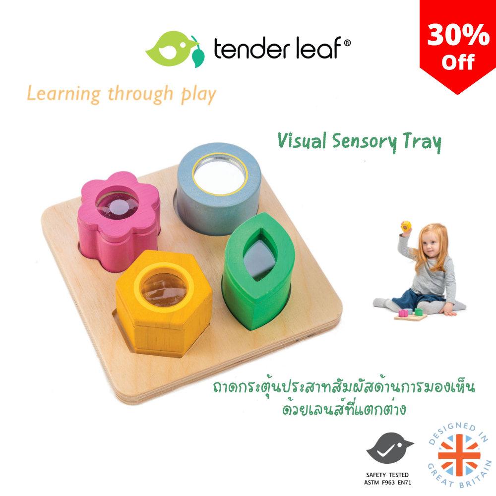 Tender Leaf Toys ของเล่นไม้ ของเล่นเด็กเล็ก ชุดพัฒนาการสายตา Visual Sensory Tray