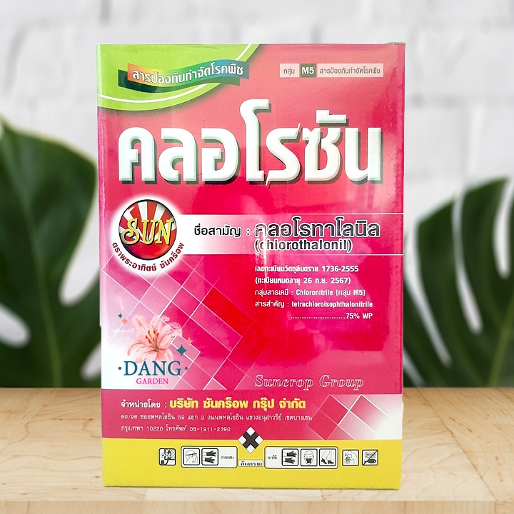 คลอโรทาโลนิล คลอโรซัน Chlorothalonil 75% wp ขนาด 1 กิโล คอโรทาโลนิล ยาราดำ ยาราน้ำค้าง ราน้ำค้างในแตง ยาราดำทุเรียน
