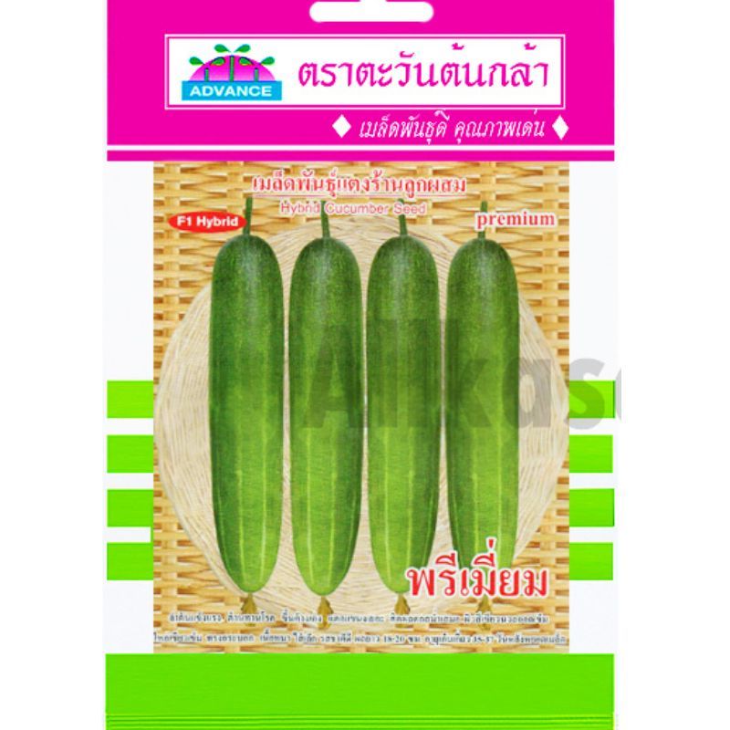 เมล็ดแตงร้านลูกผสม พรีเมี่ยม