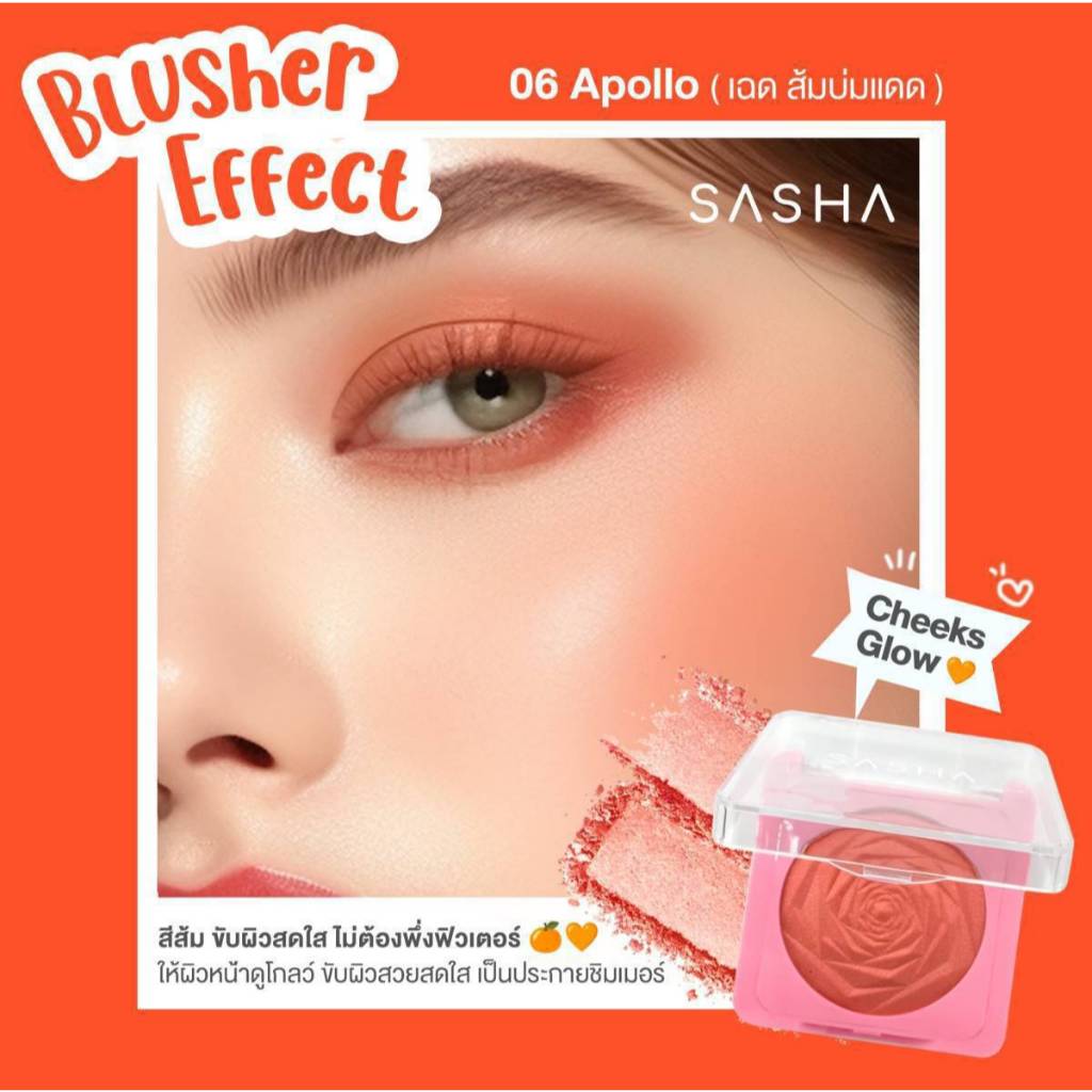 บรัชเชอร์Sasha ประกายชิมเมอร์สีชัด ติดทน เอฟเฟค เนื้อคุ๊กกี้