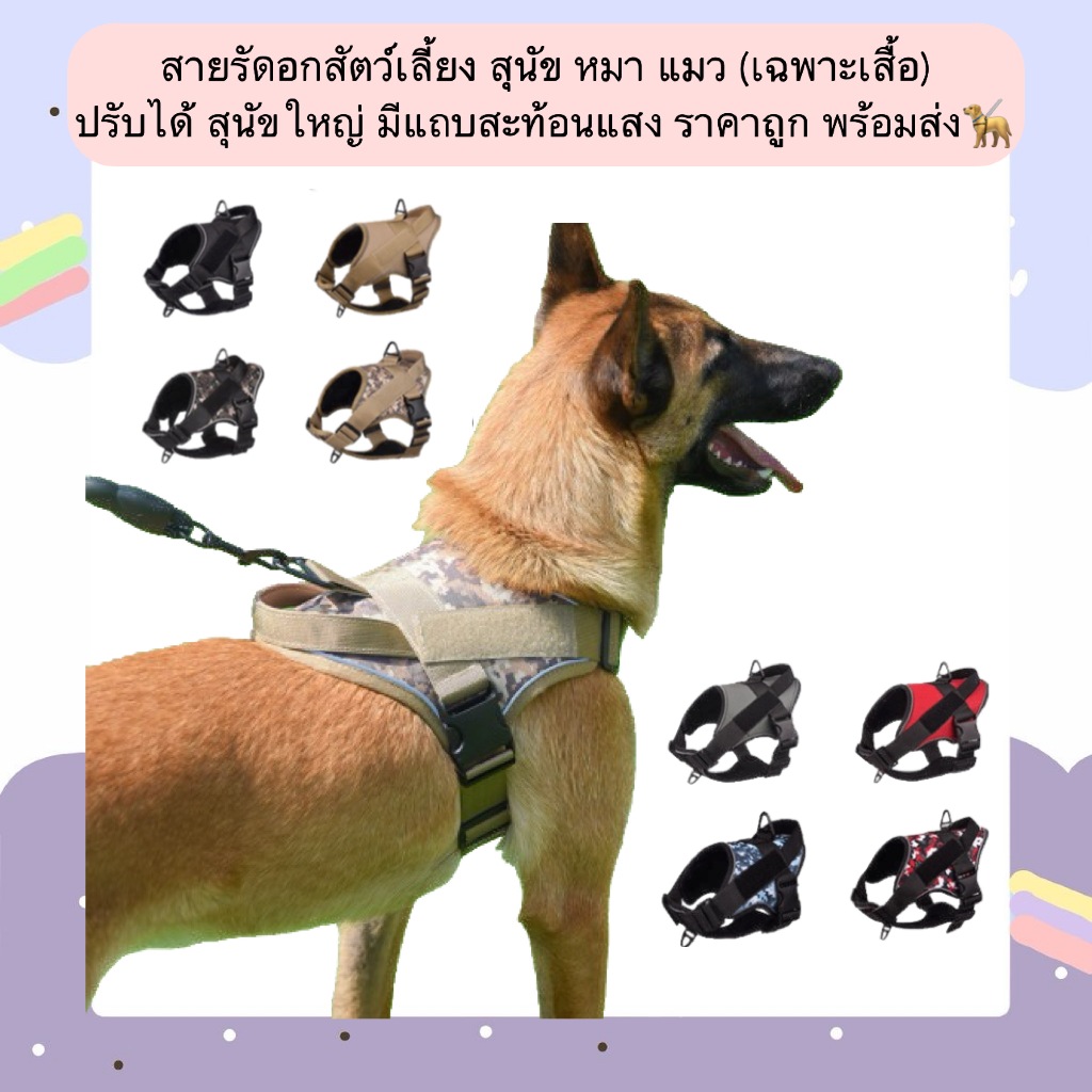 AL-1208 สายรัดอกสัตว์เลี้ยง สุนัข หมา แมว (เฉพาะเสื้อ) ปรับได้ สุนัขใหญ่ มีแถบสะท้อนแสง ราคาถูก พร้อมส่ง🦮