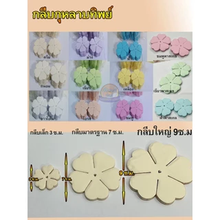 กุหลาบทิพย์ ขนาด 7 ซ.ม.