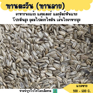 เม็ดเล็ก..เมล็ดทานตะวันลาย (แบ่งขาย 500 g. - 1 kg.) อาหารนกแ…