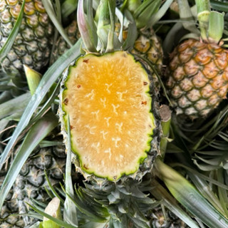 (1ลูก) สับปะรดห้วยมุ่น เนื้อ1 ฉ่ำๆจ้า
