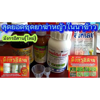 มังกรอีสาน2026 (เพิ่มยาเมตซันฟูรอน) ชุดกำจัดหญ้านาข้าว