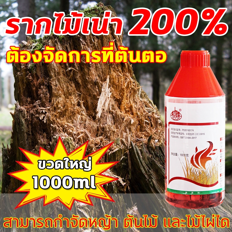 1️⃣หยดตายจากราก ยาฆ่าต้นไม้ใหญ่ 1000ML เข้มข้นมาก สารกําจัดกอไผ่ รากเน่ารากไม่ขึ้นอีก ยาฆ่ากอไผ่ ยาฆ่าตอไม้ ยาฆ่าหญ้า