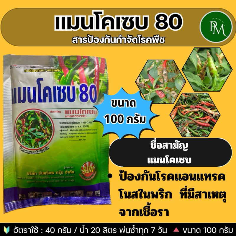 แมนโคเซป80 ขนาด 100 กรัม สารป้องกันและกำจัดโรคใบจุด ใบจุดสนิม โรคราสนิม โรคกุ้งแห้ง โรคกาบใบเน่า ขนาด100กรัม