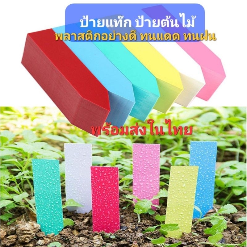 ป้ายแท๊ก ป้ายชื่อต้นไม้พลาสติกอย่างดี 100ชิ้น ขนาด 5×1cm. สินค้าพร้อมจัดส่งในไทย ส่งไว ส่งทุกวันจ้า