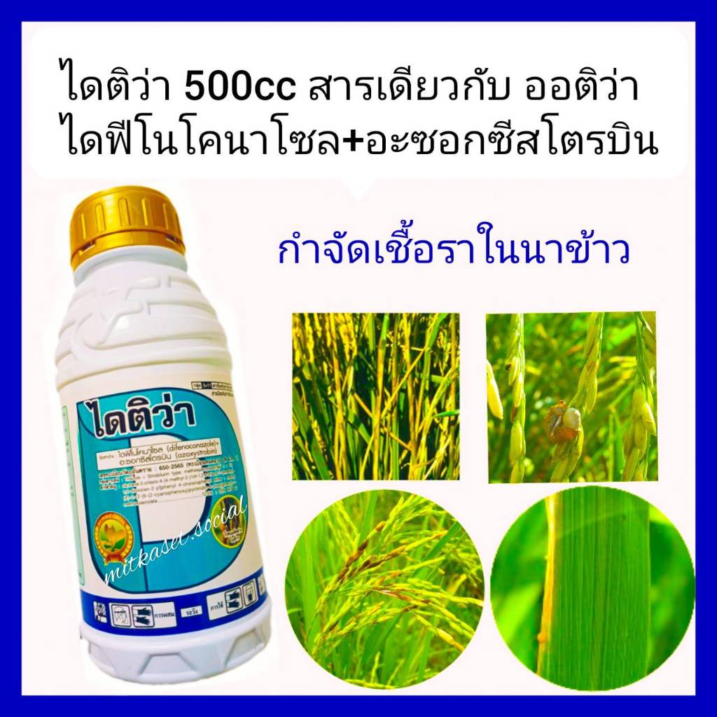ไดติว่า ขนาด 500 ซีซี ไดฟีโนโคนาโซล +อะซอกซีสโตรบิน ใช้ในทุเรียน ไม้ผล นาข้าว พืชไร่ ผัก ชนิดดูดซึม สองพลังบวก กิ่งแห้ง