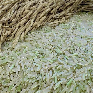 ข้าวกล้องน้ำนม หอมมะลิสุรินทร์ ขนาด 1 kg